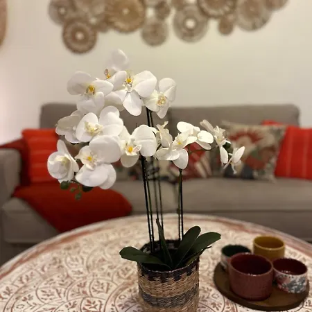 Appartement Nomad Milos Y Bali